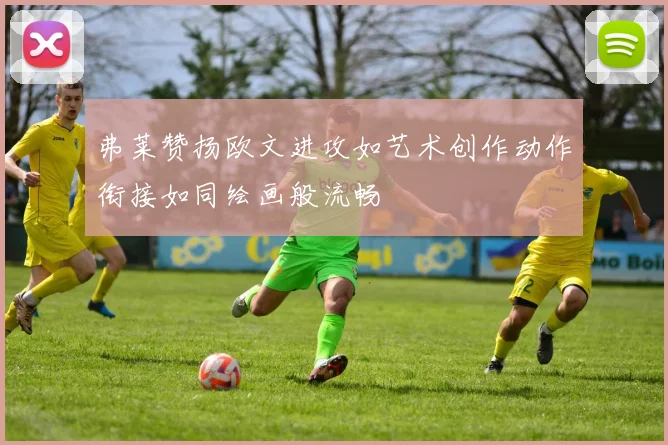 弗莱赞扬欧文进攻如艺术创作动作衔接如同绘画般流畅
