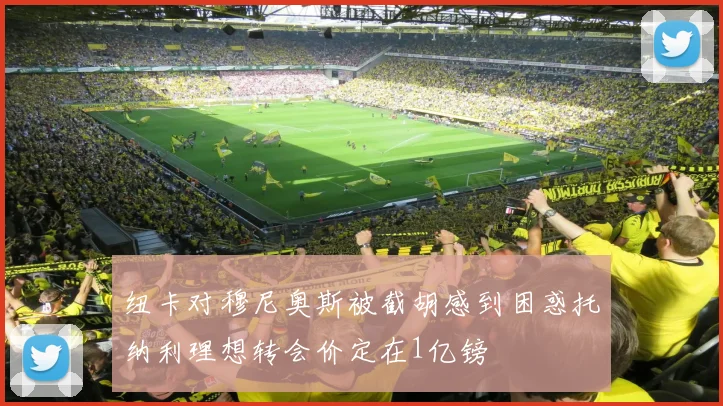 纽卡对穆尼奥斯被截胡感到困惑托纳利理想转会价定在1亿镑